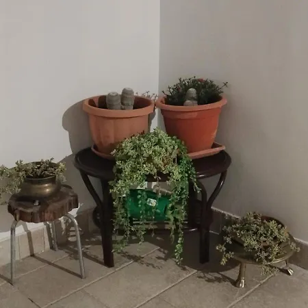 Le Rondinelle Casa vacanze *